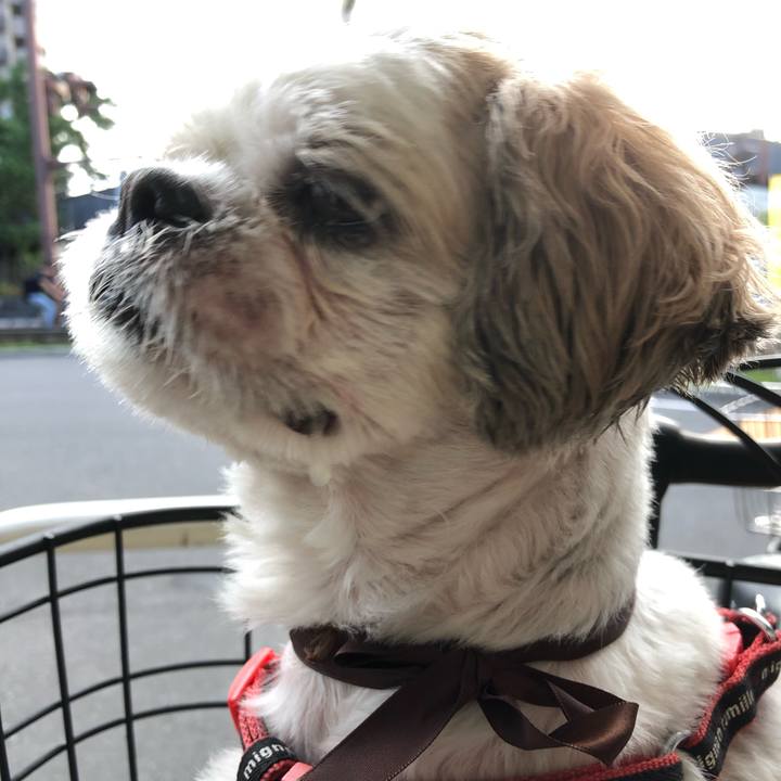 Deee5f4c 7fe5 4b49 8a9e f136cb1e60ce 1570139009300