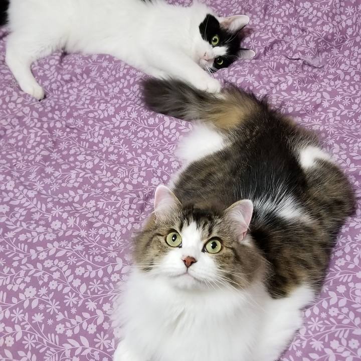 Deee7ed4 b073 49df 889b de5937167cf3 1547079782813