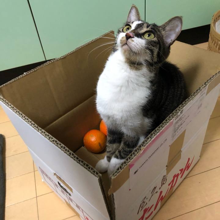 Deee84ef 91c6 4d14 b626 155990f30e70 1521179216313