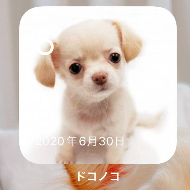 Deee901e 8c31 4d72 98a8 8885d056228a 1657025701252