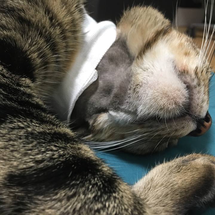 Deee96d1 f608 4a44 a14b 29f69cba53c4 1530634488643