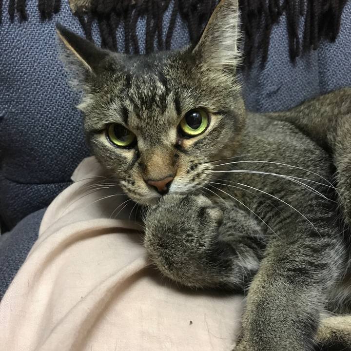 Deeec77d 75fb 4351 954a e954714f0b5d 1527636645432