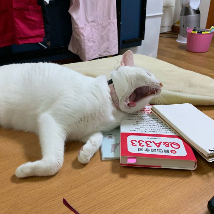 Deef4811 c709 49fa aae1 cb9ccf059462 1589072687613