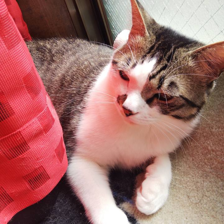 Deef66b6 325a 4e6f 857c e92a2feb5766 1645670867469