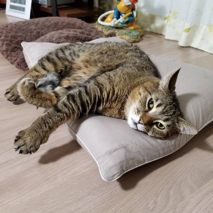 Deef6aa6 9e12 40d9 a181 80a9966d0340 1611265424744