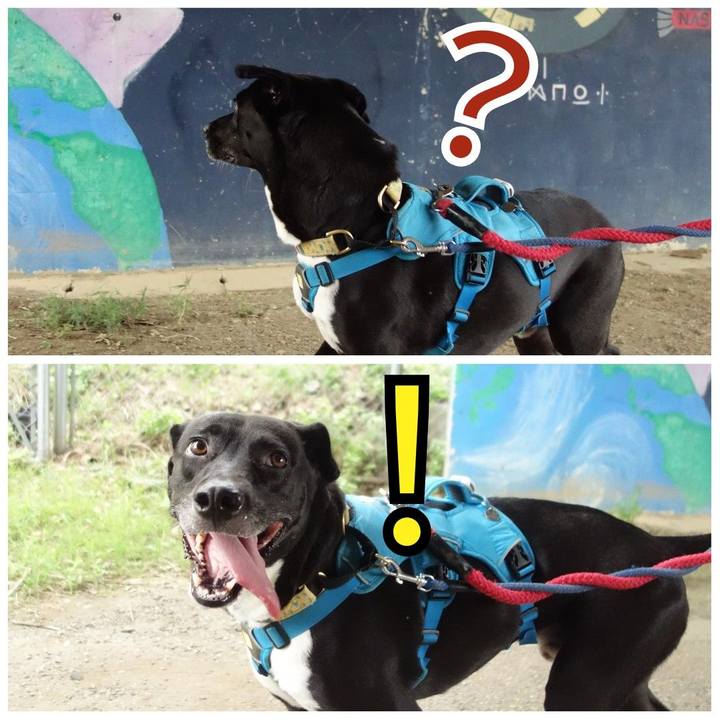 Deef8f89 5b7a 4c99 a67e ac69d5265a0b 1630195590808