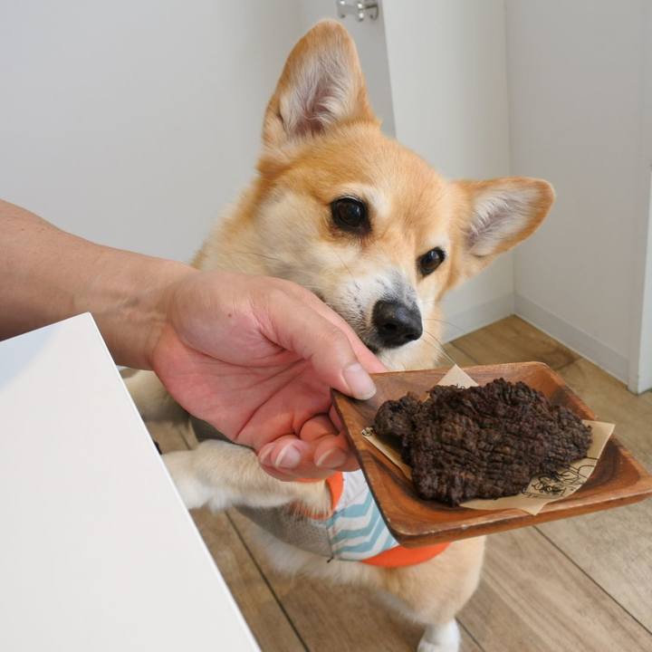 Deefb745 e431 4df7 ba1e d017fd443244 1687617345610