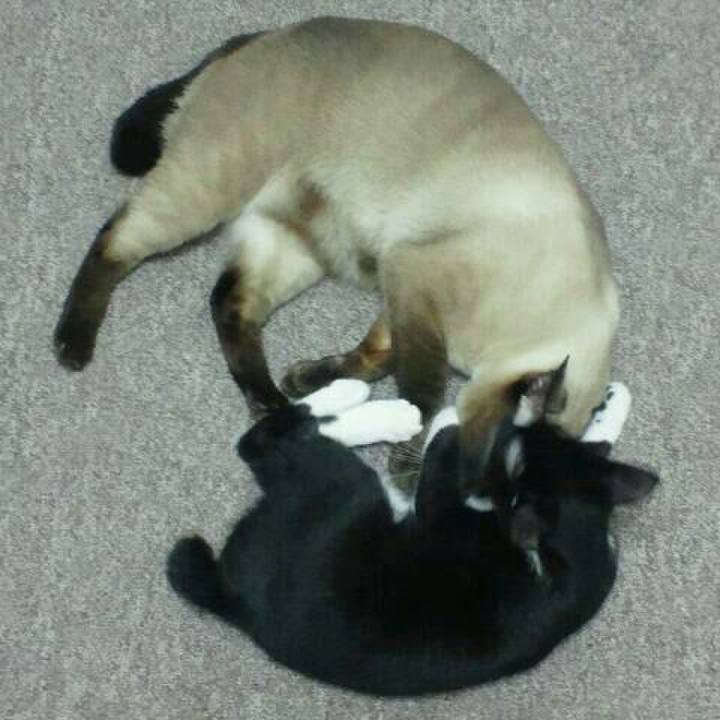 Deefedd7 bce5 4f99 a08b 3a5f2756a3a8 1516591950015