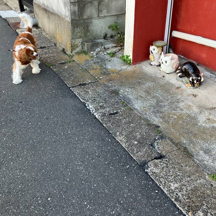 Deeff2c8 8a92 4982 a106 11a0c7630cbd 1691924905147