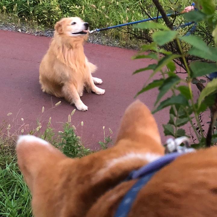 Deeffd55 44df 454a 9730 b9b558d568fe 1538555811154