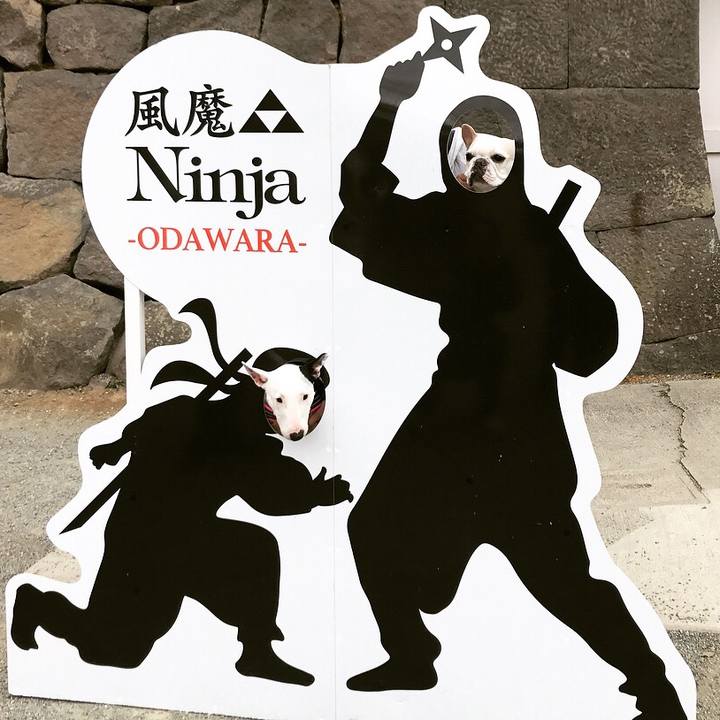 Def02a89 11ad 4f02 991b 49a3783b8659 1523407522223