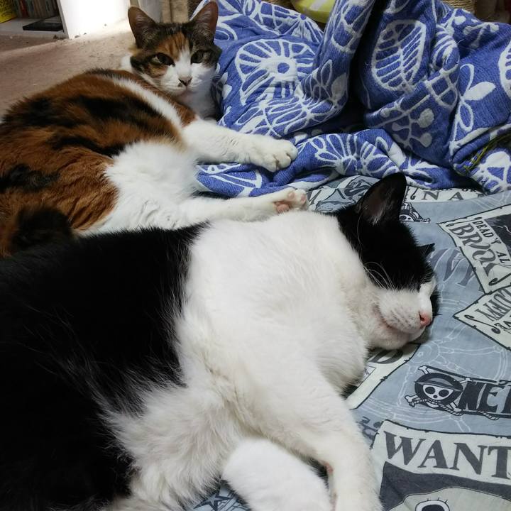 Def04ff2 0445 47fe 9bf9 eb6486c7abb8 1531706232571