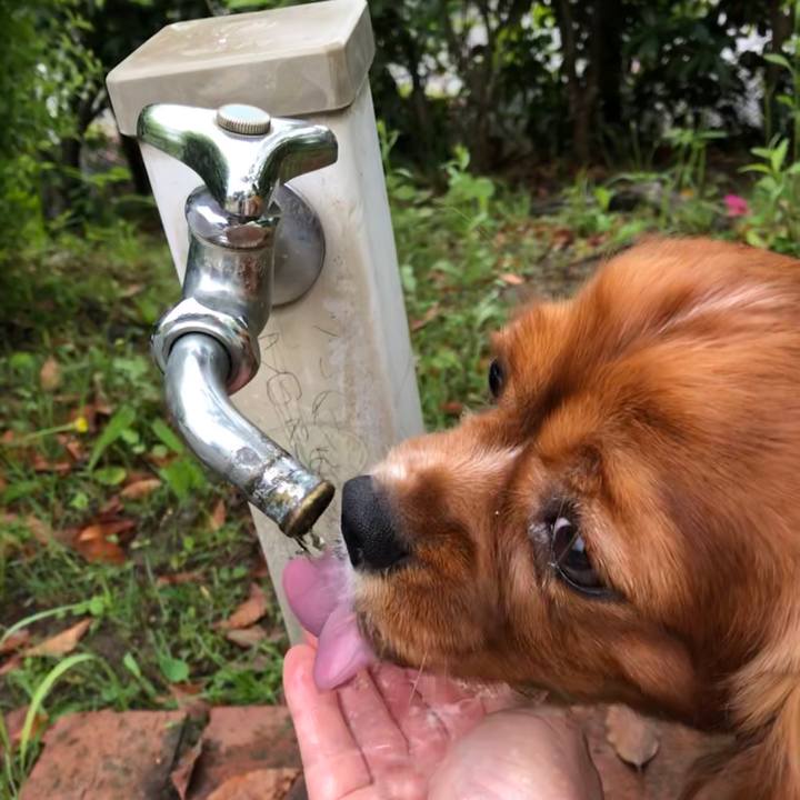 Def05577 e3a2 47b6 89b2 94dd39c7454d 1589717647605