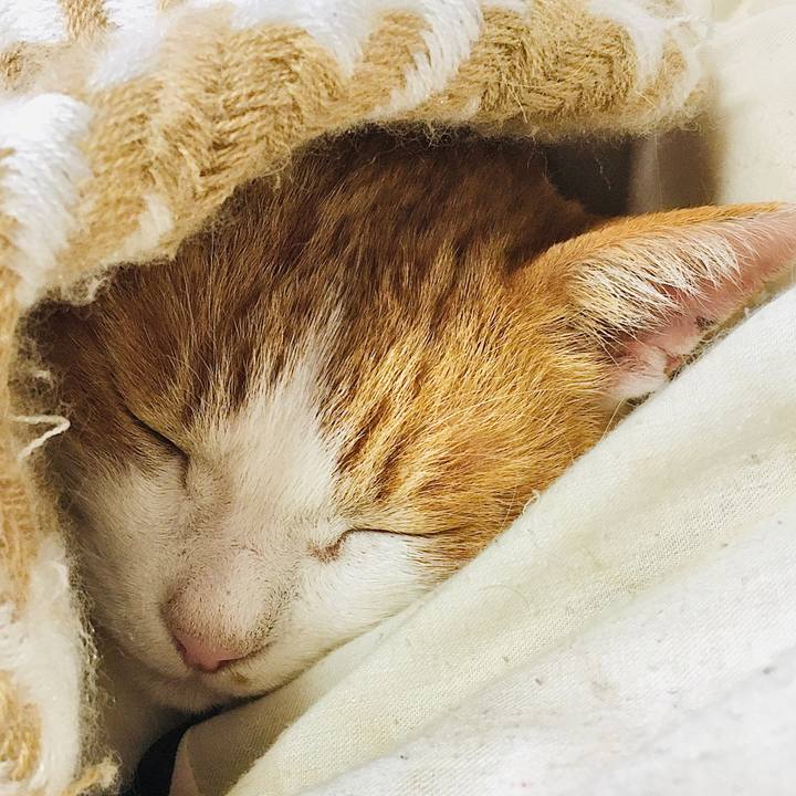 Def06f1d df6c 4cfa 99fe e2bb5014e91b 1576846960115