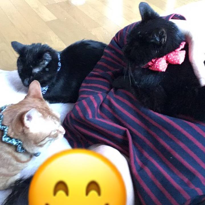 Def0826f 8962 4fa0 897d 9bec8ca1a2ac 1553024577257