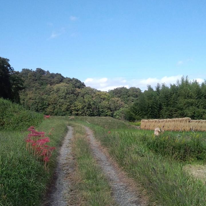 Def0cfba 8c92 43d0 8508 844022577f69 1609782420747