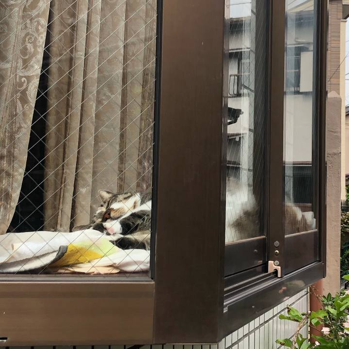 Def0e493 b817 4d7e 95c9 c8e4329fc4b5 1594647107384