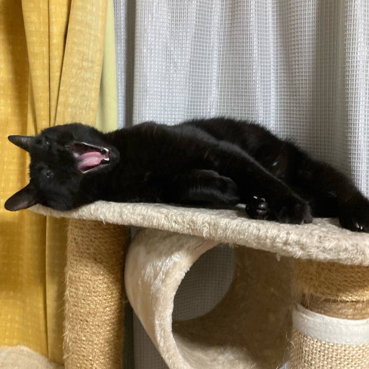 Def10330 f39b 4c9c bd60 a59745faa60f 1760022892233