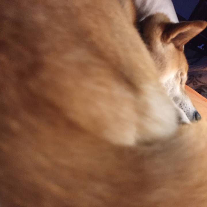 Def15e6e 86cc 47a1 ab22 075040140af8 1515937525723