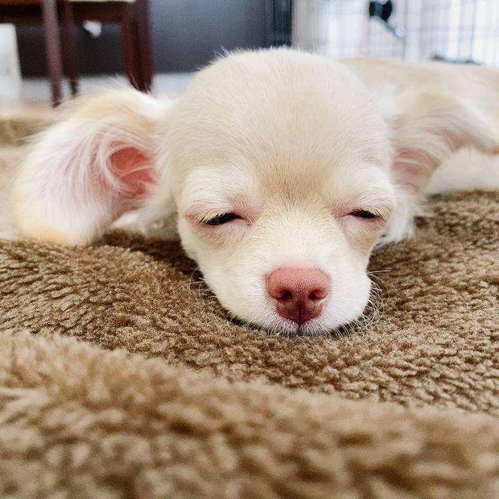 Def16670 dc7c 4c79 923e fd27867efd42 1593578410585