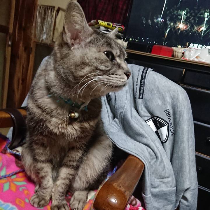 Def17b8a f246 43f8 96c1 b63ff35deb23 1554461660798