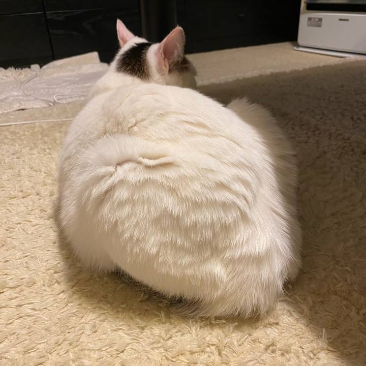 Def193c3 1f28 4d9d b3ff 6bbc24b979d8 1675064756180