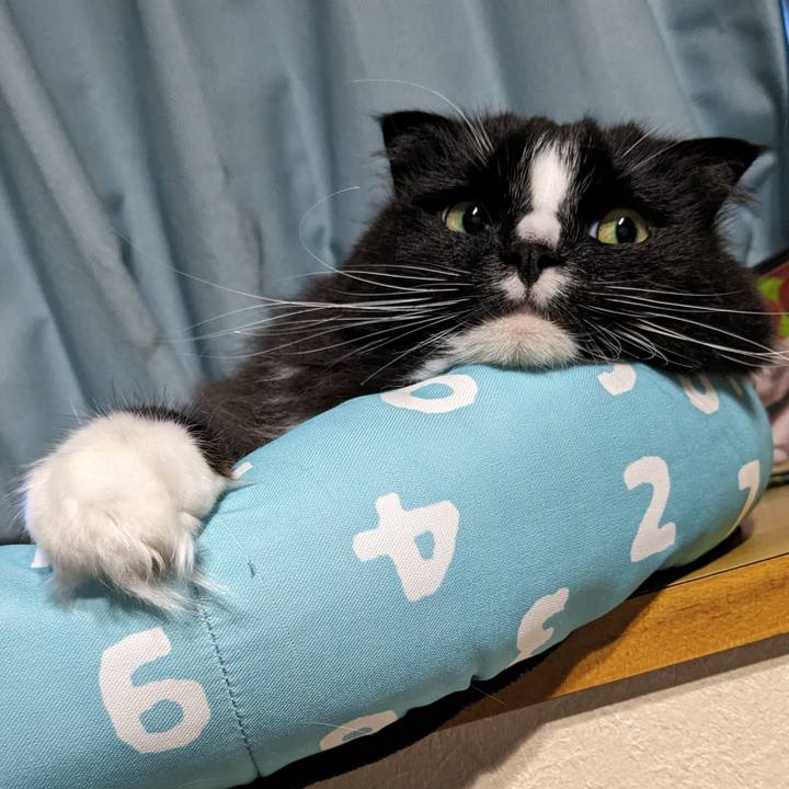 Def1af5b 7845 4aa7 864c 5a4393a7dc4d 1714856716396