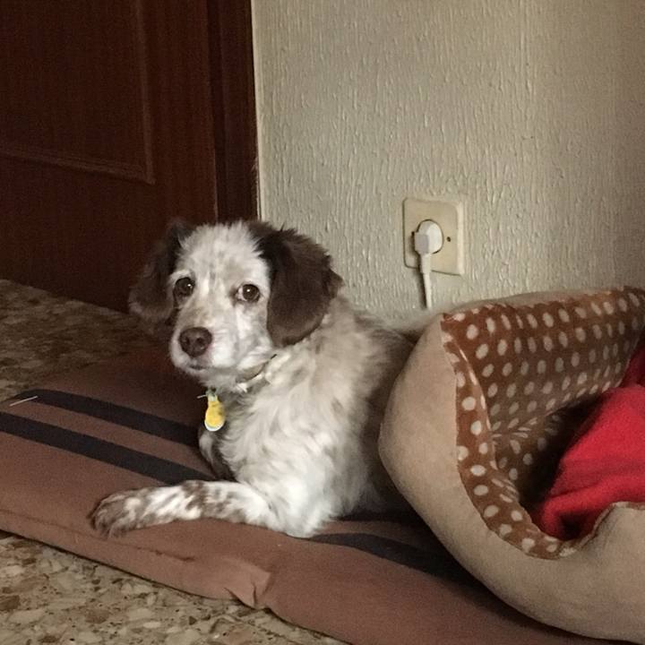 Def1afef 8471 4457 91b0 f6bfbcbdd9d4 1514387566228