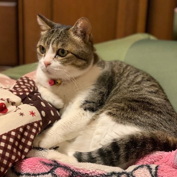 Def25c13 fb7d 46c4 ad38 2319907287e6 1648082592690