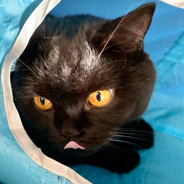 Def25d53 6e76 48c9 a192 4d8d910cd9a2 1692521575468