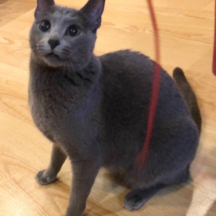 Def25ed7 2a9b 4a43 8a56 238d4bbb2eb8 1582241439424