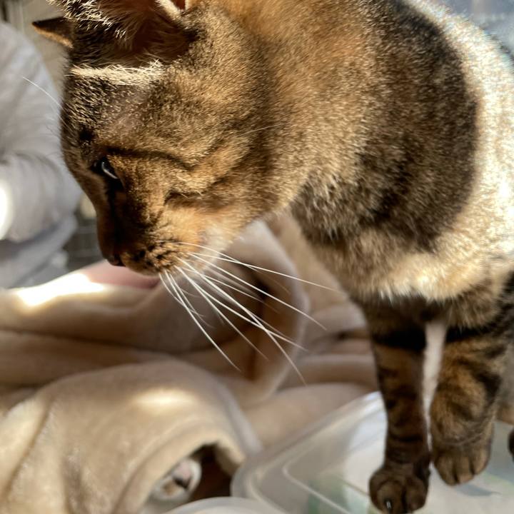 Def26766 f03c 4da4 938d 533097e96864 1606440794713