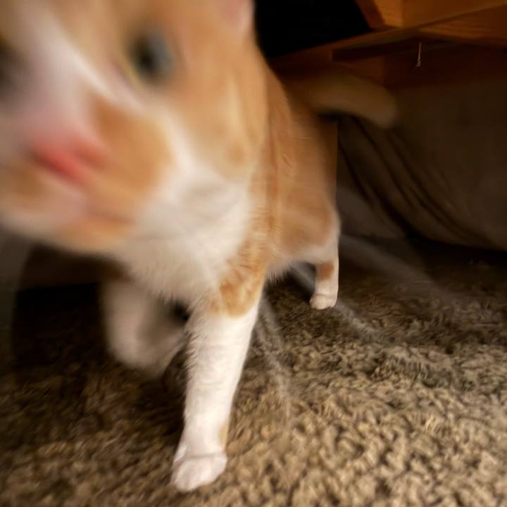 Def283f4 06d4 4152 b2c4 18863b242559 1762952631912