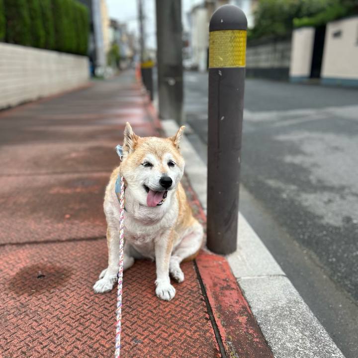 Def28fe4 1683 42e9 a80c ca28b4535775 1752643043354