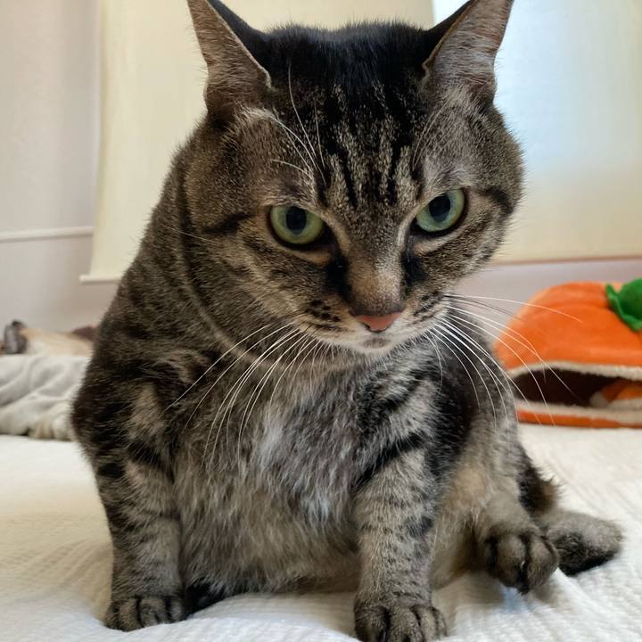 Def2a19b 0805 4575 99b8 3f4b648c8273 1767407872388