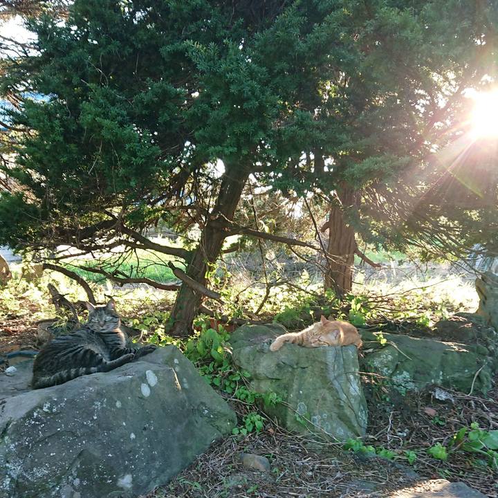 Def2a7a5 7da5 44c8 abab e4eab34aab8f 1659258172759