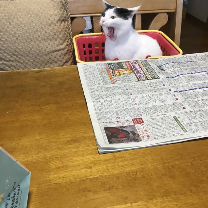 Def2af44 339d 417f 8c9d a8813bf613a9 1512544617001