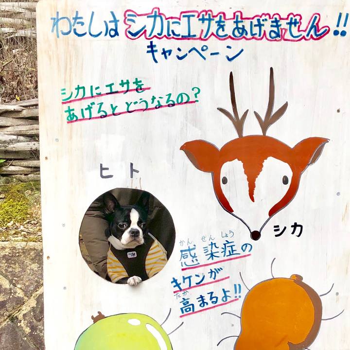 Def2c3df 43aa 4375 93fd 67d5c4ddc9ab 1543223904611