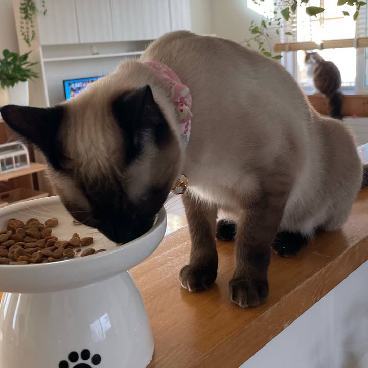 Def2ccbf a9c0 4949 b8b9 9767d8f5a025 1712959323184