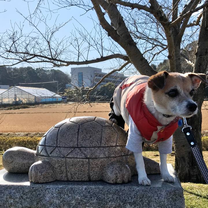 Def2f02d c064 4e9a b72e 20914fc876c8 1577937003872