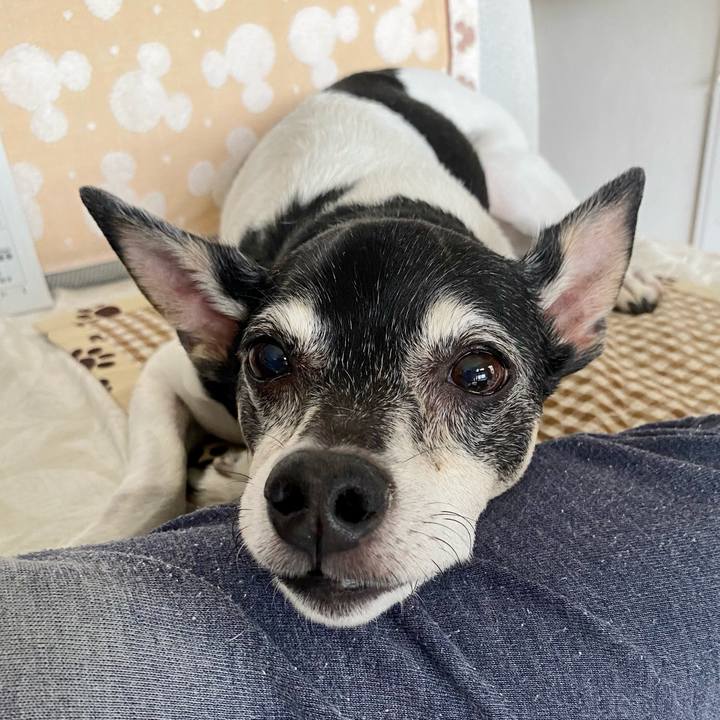 Def2f332 6893 4e81 afba 18e4253d31fe 1624158340192