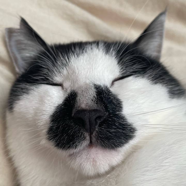 Def31cf4 4cc0 4132 94c5 25ec1765dd93 1764299980637