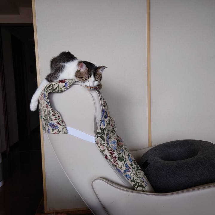 Def3296b dc9c 4c99 9d2d 952618dc172c 1752466652353