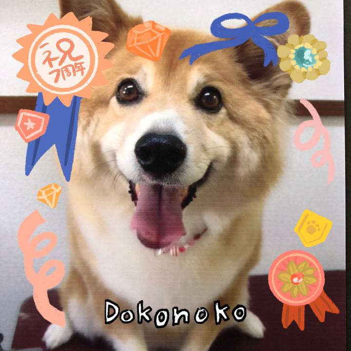 Def32d60 f61d 4e46 a710 12c3ed010be1 1685951562881