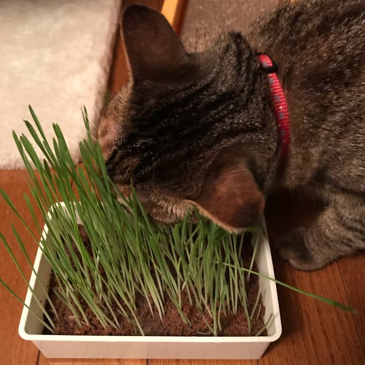 Def33f64 8be5 4a40 98d6 abf98289c64d 1600768557070