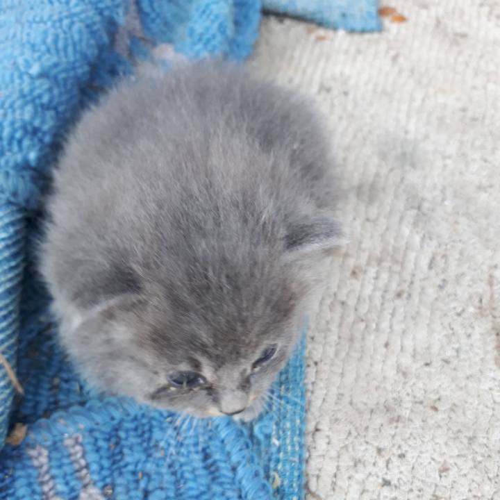 Def34cbf 7c21 4d34 adf5 6d9e563d10e5 1624772607613