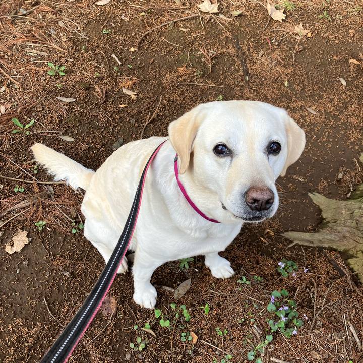 Def3c50a 4be4 4b62 8a08 0961163b0e54 1679872716758