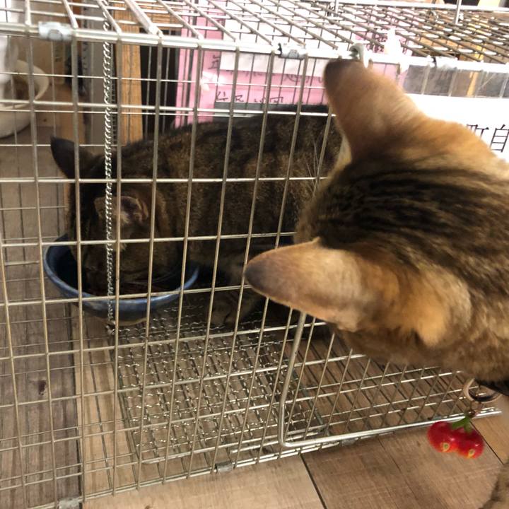 Def40bba 4f7c 4db1 a623 93715a284f20 1609693222701