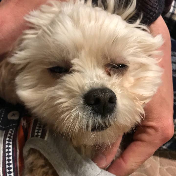 Def421f0 e791 4b5d a68b ea9f23efdb54 1517407428176