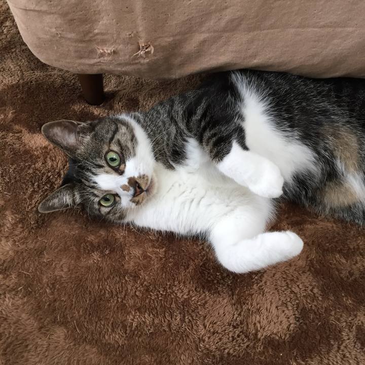 Def42d2f fb8a 43a4 b3b1 f63a7cffbafb 1508027642000